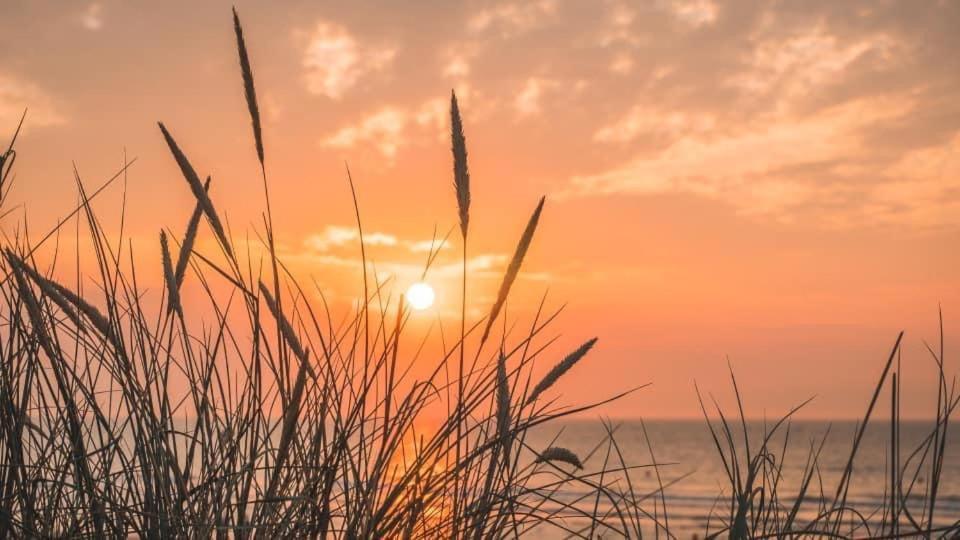 Duinendaele 232 Met Sauna Bij Plopsaland En Natuurreservaat De Panne Ngoại thất bức ảnh